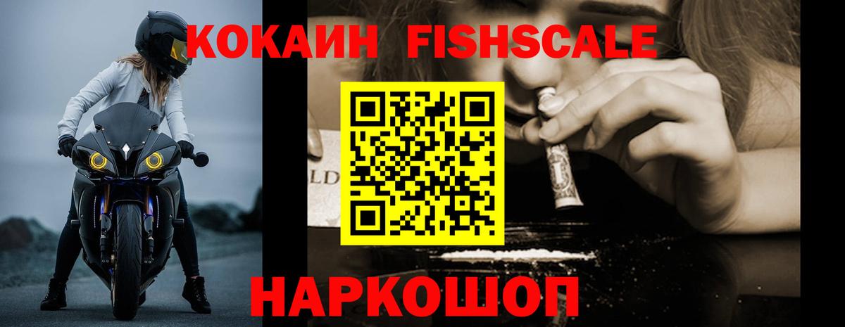 COCAIN Fish Scale Выборг
