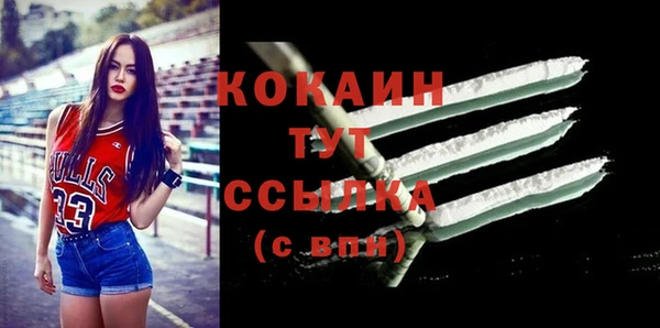 индика Бронницы