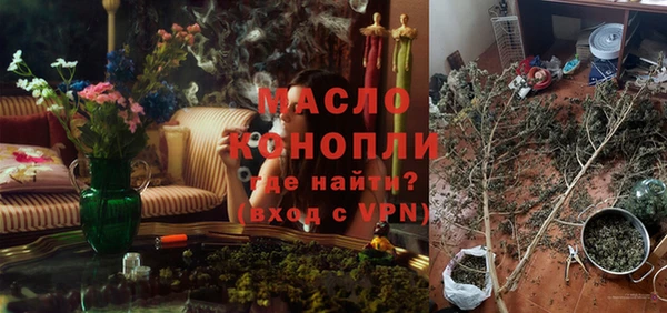 индика Бронницы