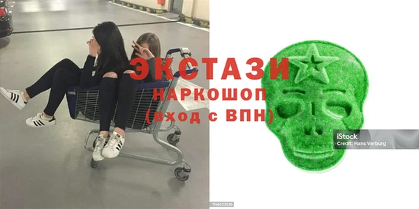 индика Бронницы