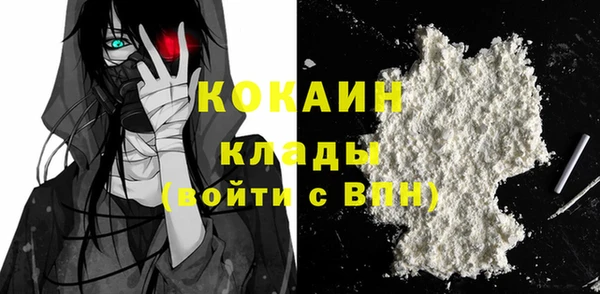 индика Бронницы