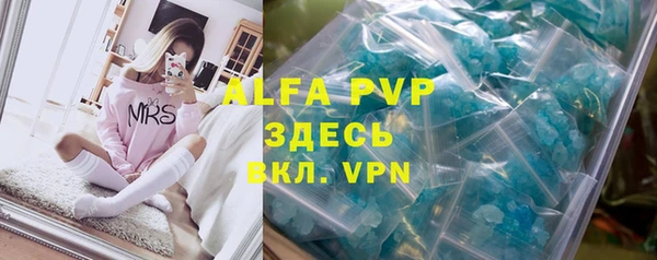 индика Бронницы