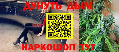 тгк Гай