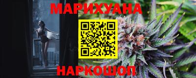 тгк Гай
