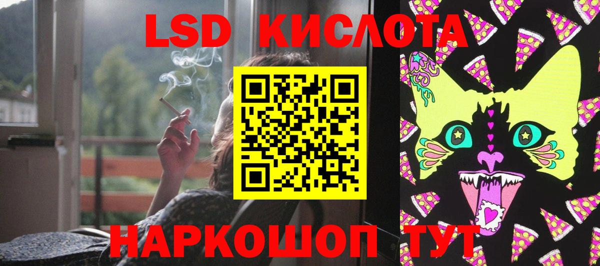 КОКАИН Выборг