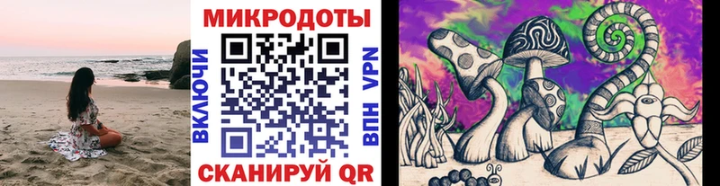 цены наркотик  Выборг  Галлюциногенные грибы MAGIC MUSHROOMS 