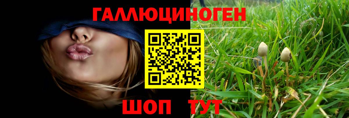 Псилоцибиновые грибы Cubensis  Псилоцибиновые грибы GOLDEN TEACHER  Вход с VPN  Выборг 