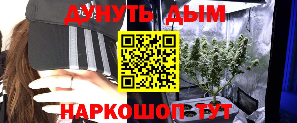Выборг  Шишки марихуана THC 21%  Шишки марихуана White Widow  Шишки марихуана гибрид  Вход с VPN  Бошки Шишки ГИДРОПОН 